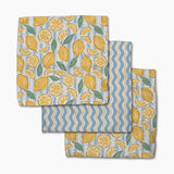 Dish Cloth Set