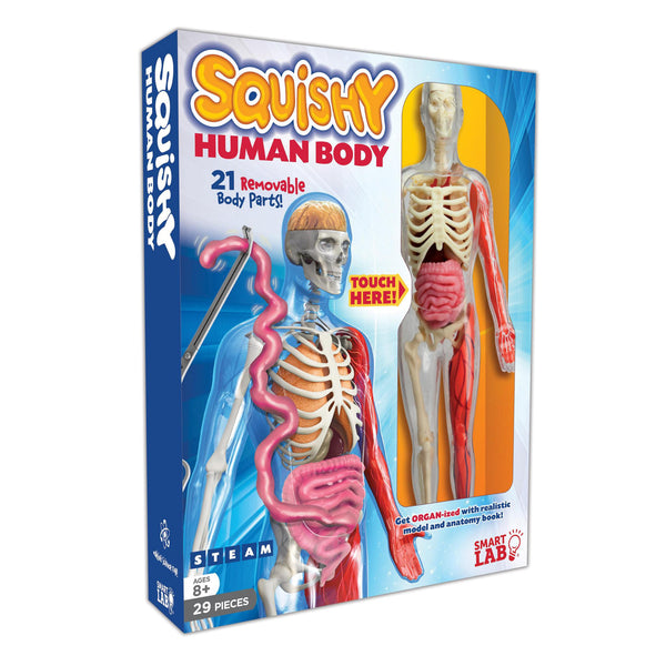 Squishy Human Body Set