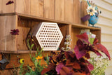 Build Your Own Bee Habitat