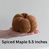 Cozy Pumpkin - Variegated